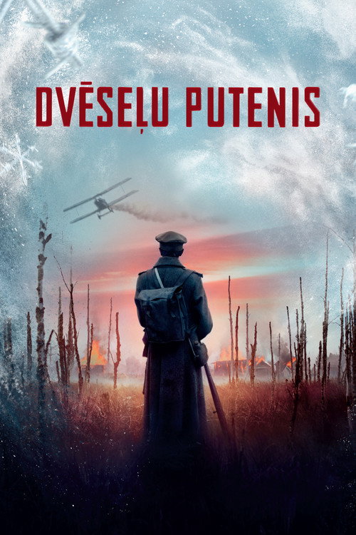 Dveselu putenis film afişi