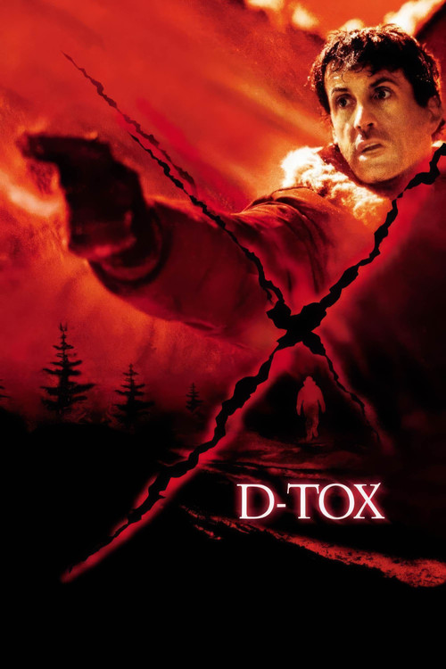 D-Tox film afişi