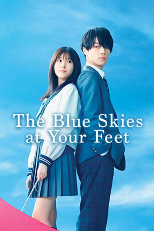 君が落とした青空 film afişi