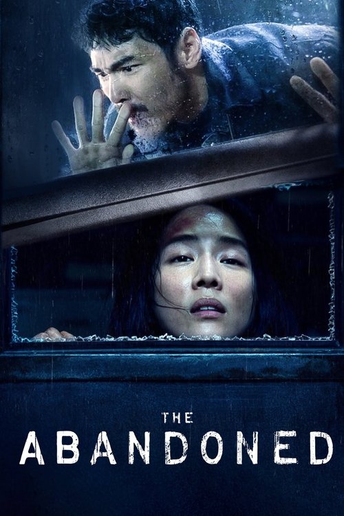 查無此心 film afişi