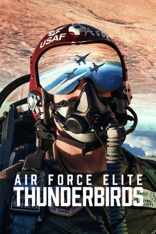 Air Force Elite: Thunderbirds film afişi