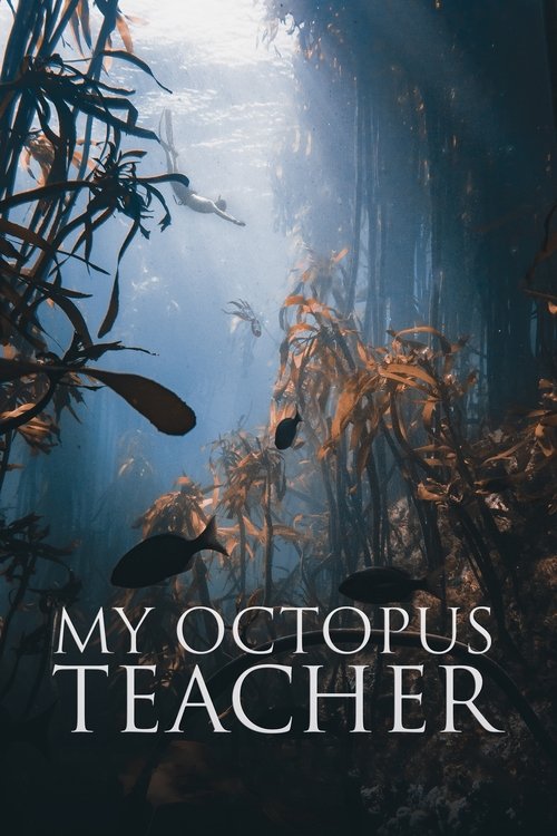 My Octopus Teacher film afişi