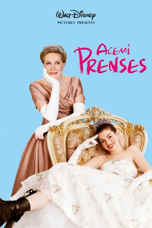 The Princess Diaries film afişi
