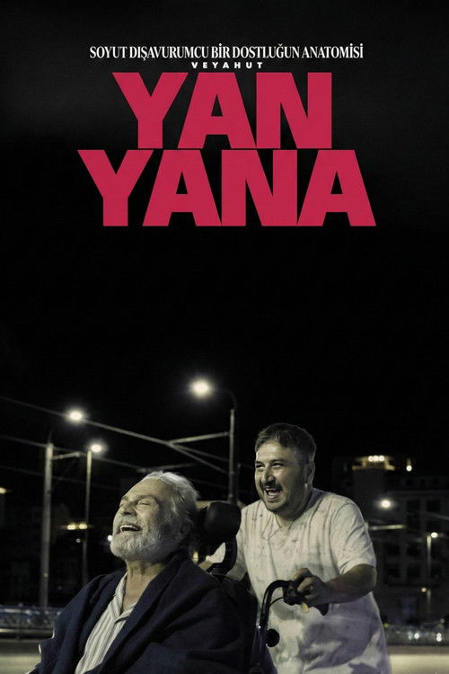 Soyut Dışavurumcu Bir Dostluğun Anatomisi Veyahut Yan Yana film afişi