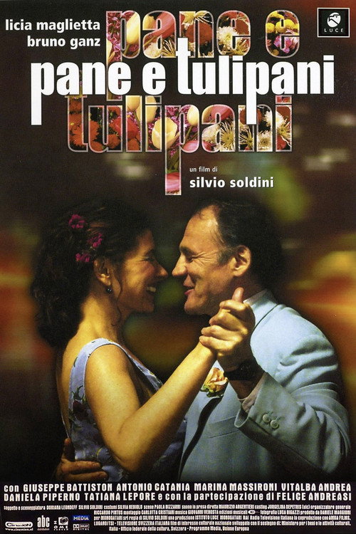 Pane e tulipani film afişi