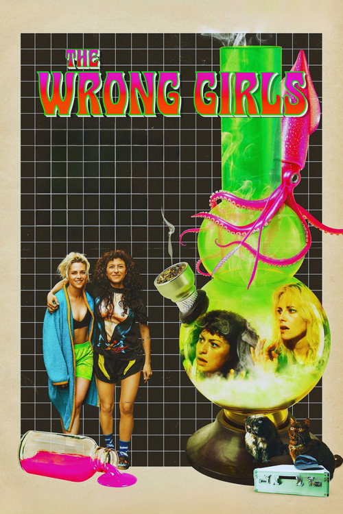 The Wrong Girls film afişi