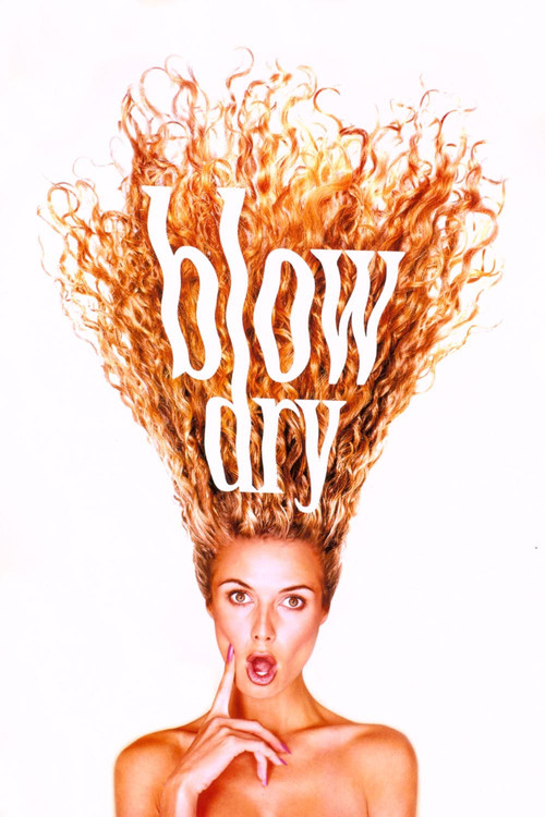 Blow Dry film afişi