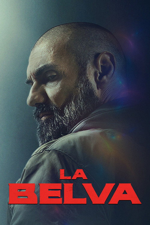 Bir Babanın Öfkesi film afişi