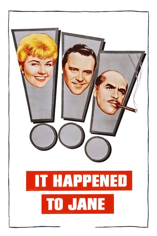 It Happened to Jane film afişi