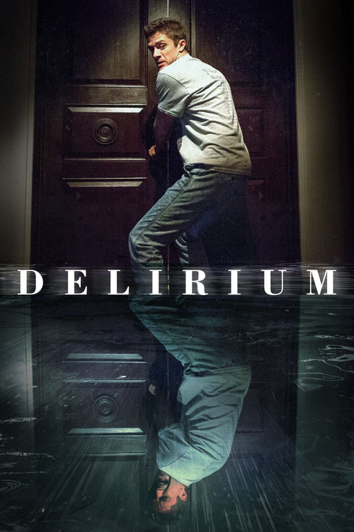 Delirium film afişi