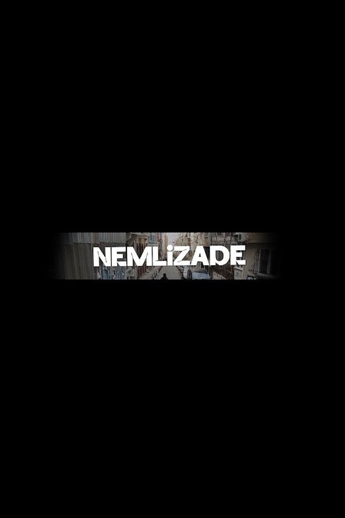 Nemlizade dizi afişi