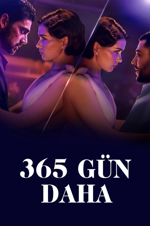 The Next 365 Days film afişi