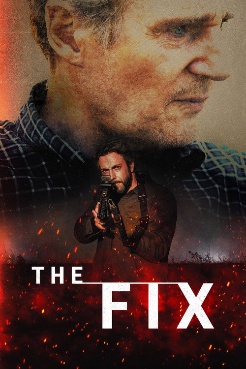 The Fix film afişi