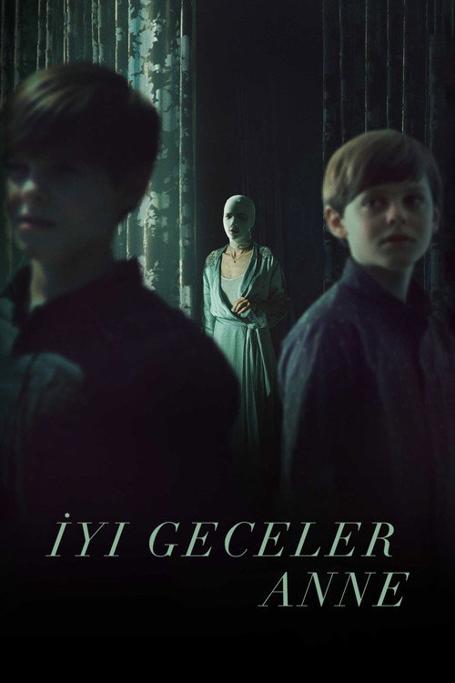 Goodnight Mommy film afişi