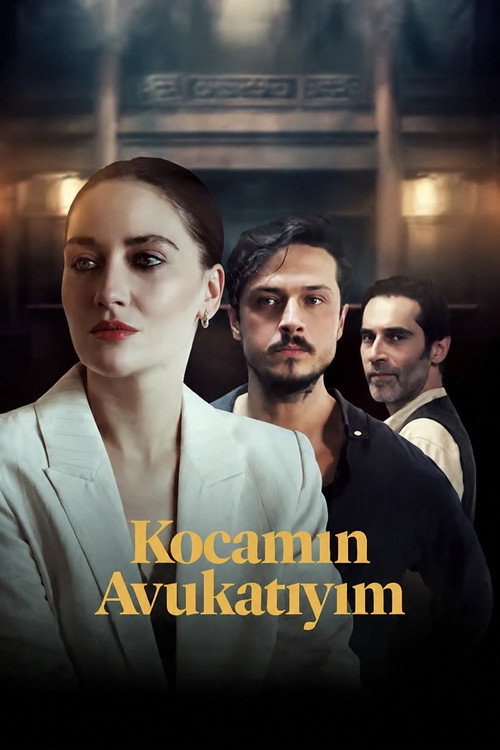 Kocamın Avukatıyım film afişi