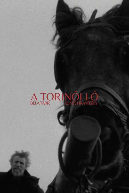 A torinói ló film afişi