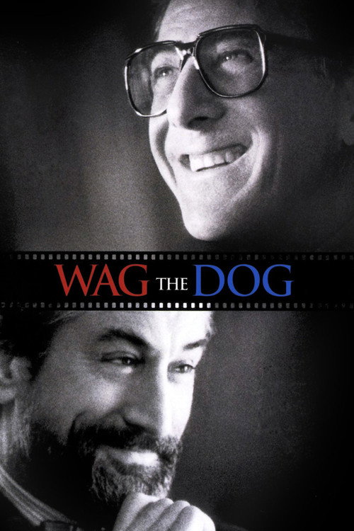 Wag the Dog film afişi