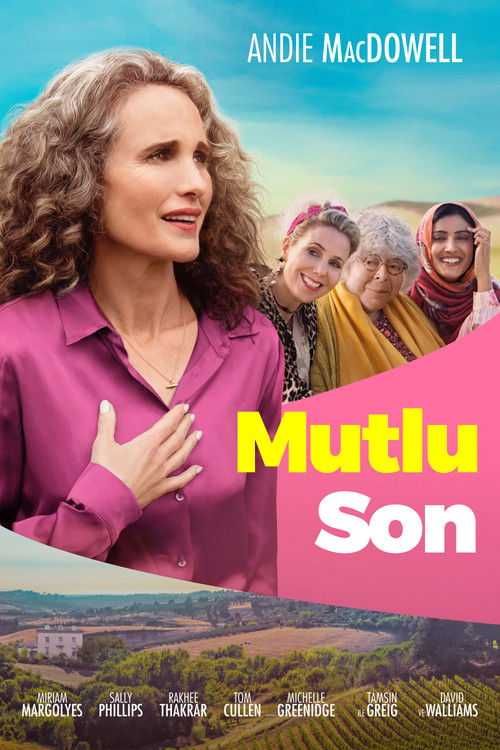 My Happy Ending film afişi