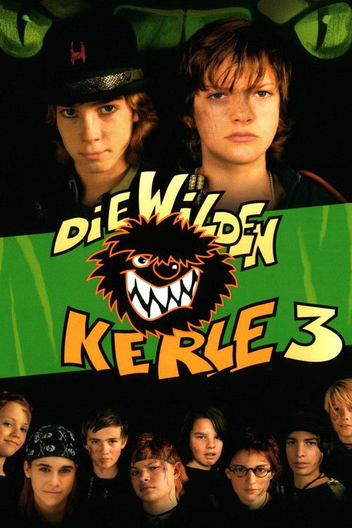 Die Wilden Kerle 3 film afişi