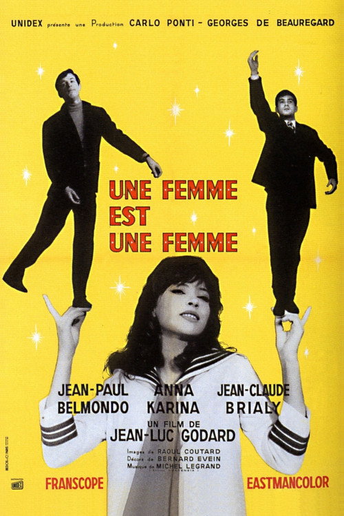 Une Femme est une femme film afişi