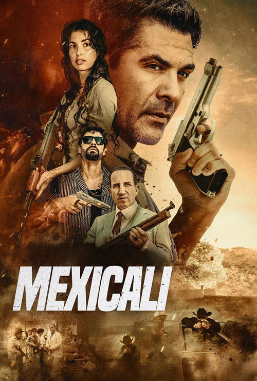 Mexicali film afişi