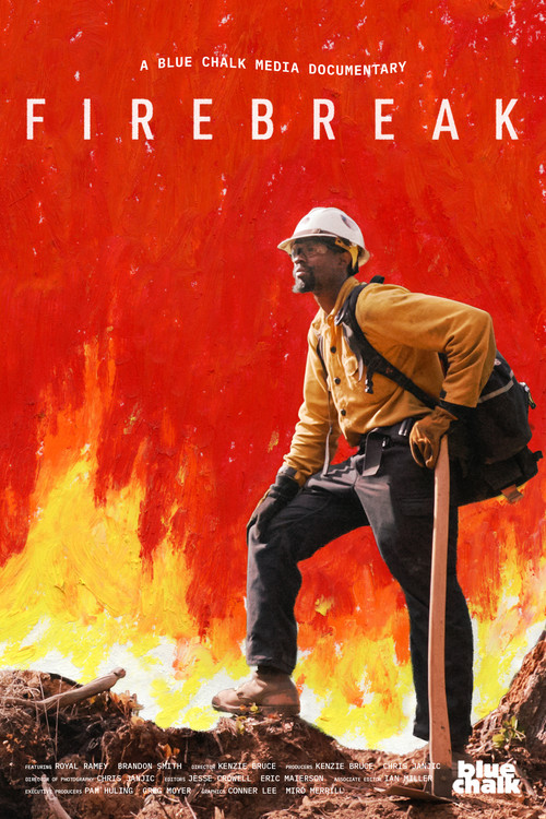 Firebreak film afişi