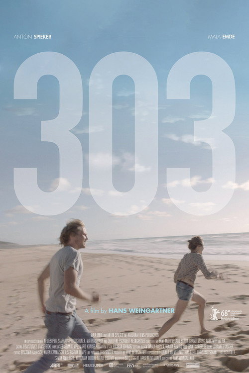 303 film afişi