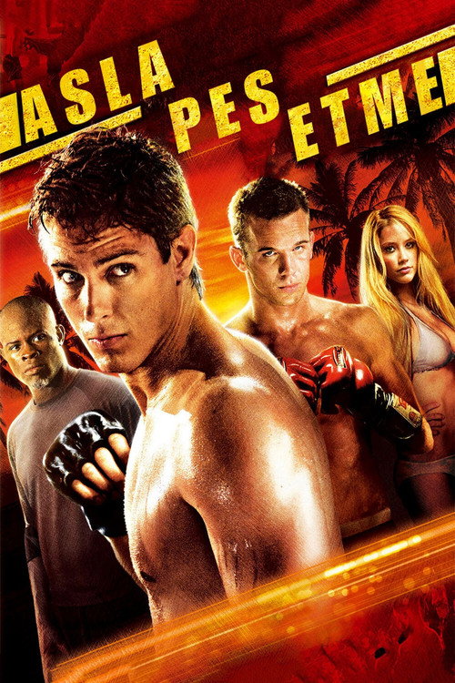 Never Back Down film afişi