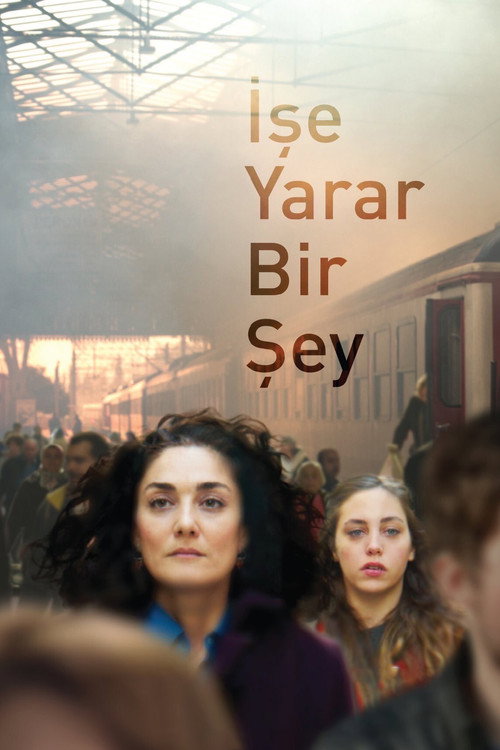 İşe Yarar Bir Şey film afişi