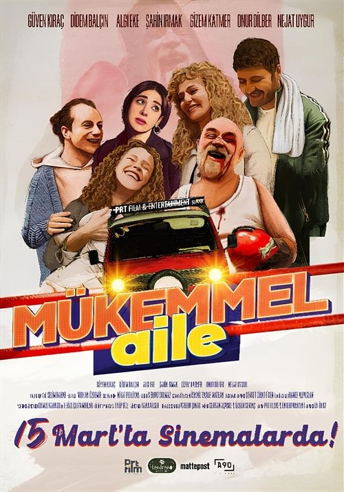 The Perfect Family film afişi