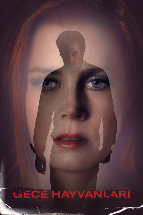 Nocturnal Animals film afişi