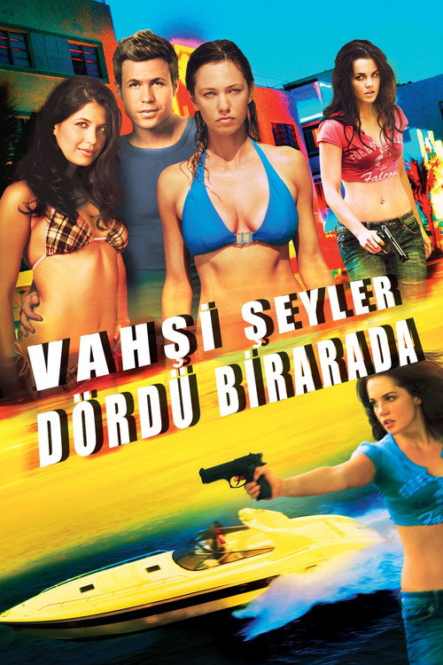 Wild Things: Foursome film afişi