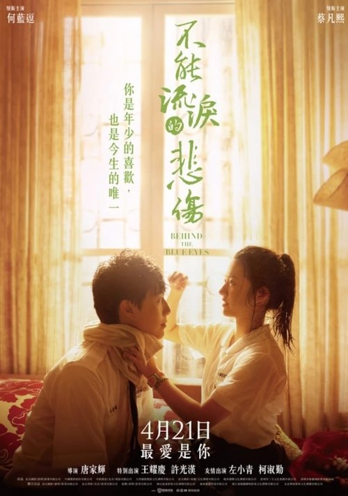 不能流泪的悲伤 film afişi