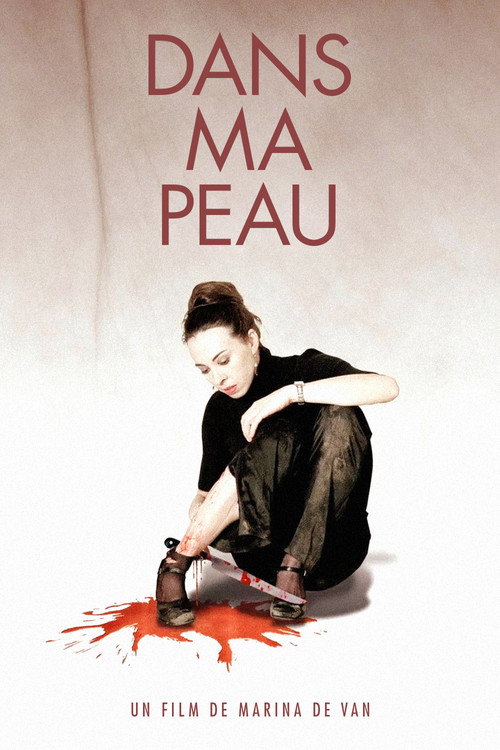 Dans ma peau film afişi