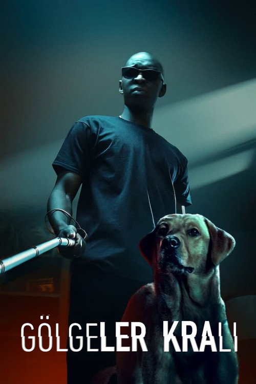 Le Roi des Ombres film afişi