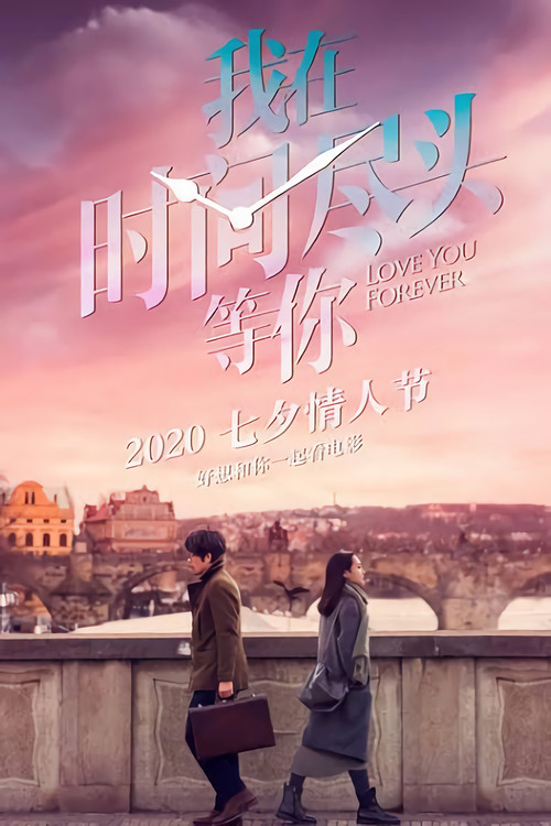 我在时间尽头等你 film afişi