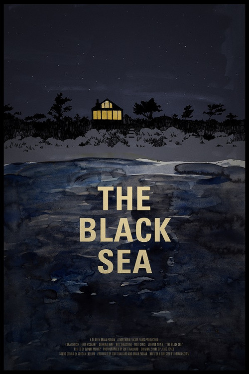 The Black Sea film afişi