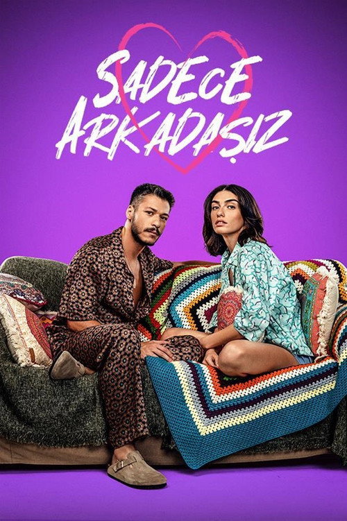 Sadece Arkadaşız dizi afişi