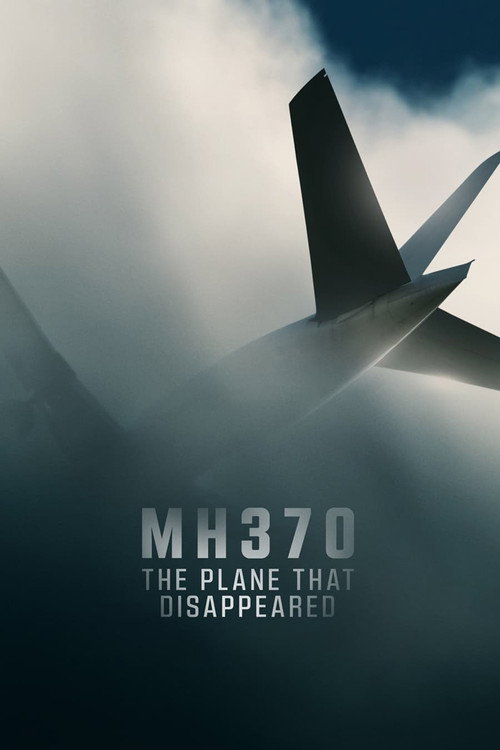 MH370: Kaybolan Uçak dizi afişi