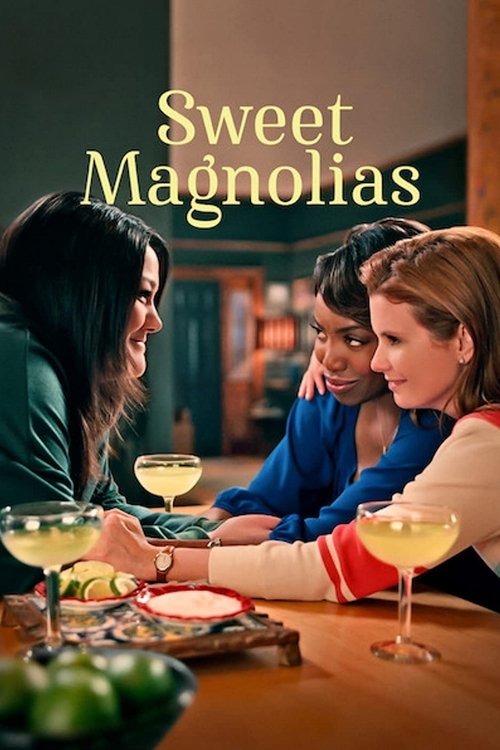 Sweet Magnolias dizi afişi