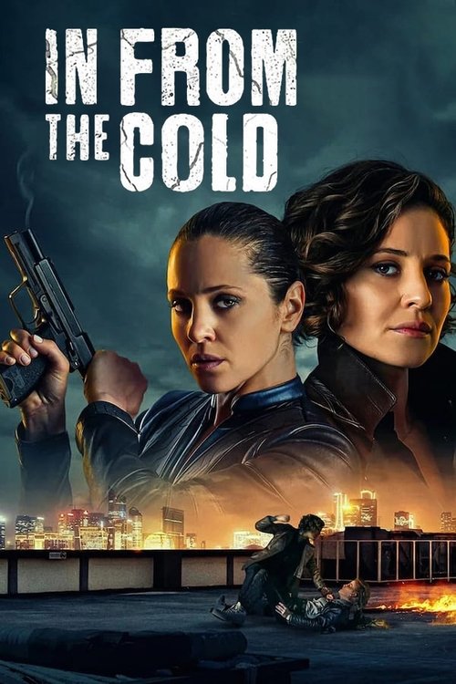 In From the Cold dizi afişi