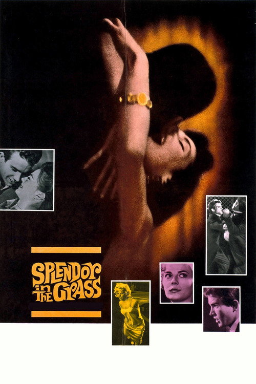 Splendor in the Grass film afişi