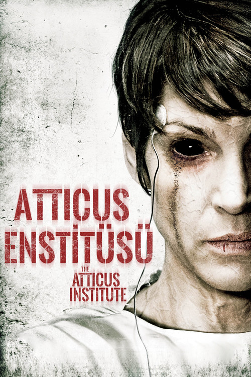 Atticus Enstitüsü film afişi