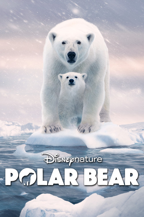 Polar Bear film afişi