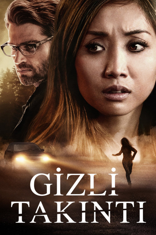 Secret Obsession film afişi