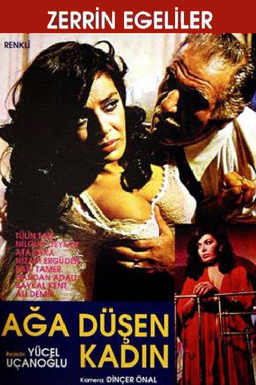 Ağa Düşen Kadın film afişi