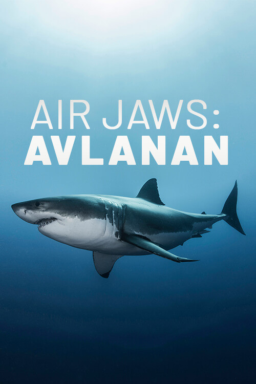 Air Jaws: The Hunted film afişi