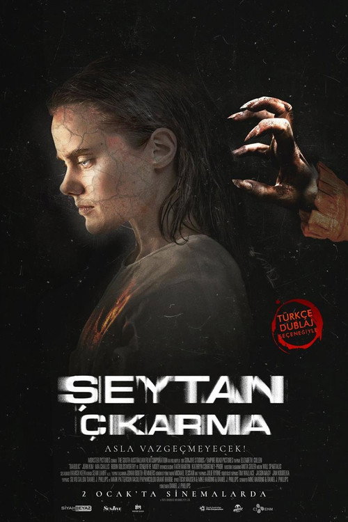 Diabolic film afişi