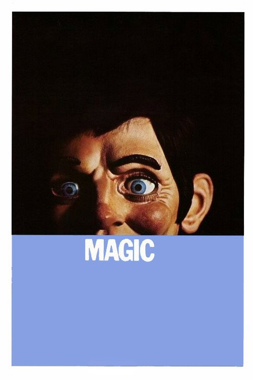 Magic film afişi