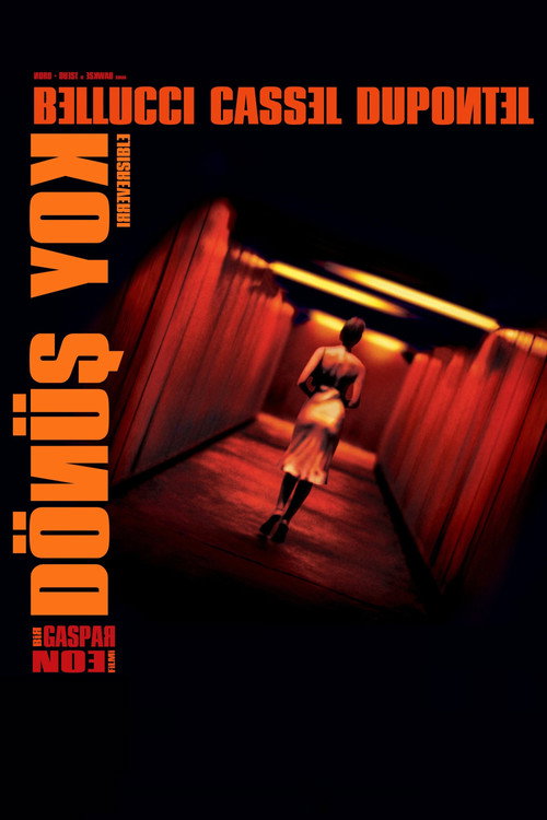 Irreversible film afişi